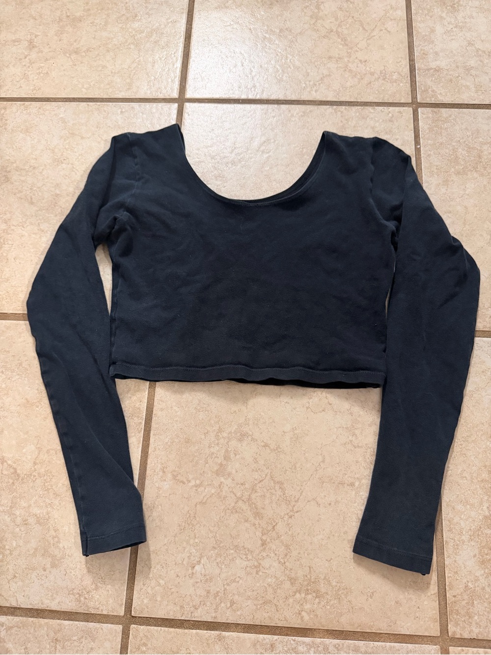 EUC American Apparel Black Long Sleeve Crop Top
